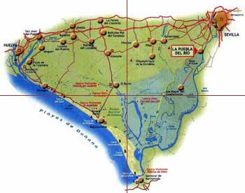 Map Doñana