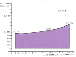 grafico pendiente