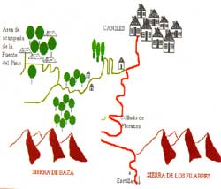 caniles-fuente pino