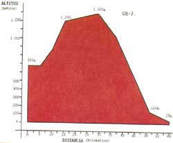 grafico pendiente